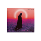 Creature In The Black Night CD